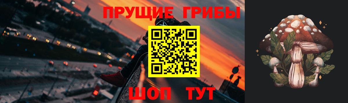 Галлюциногенные грибы GOLDEN TEACHER  Вход с VPN  Коряжма 